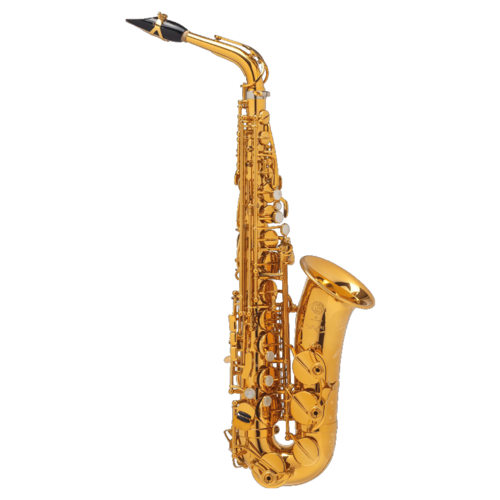 Saxophone Alto Selmer Supreme Goldmessing