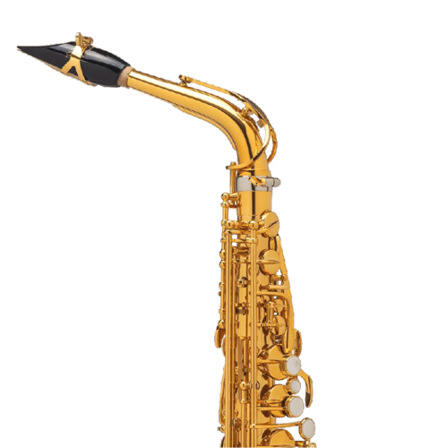 Saxophone Alto Selmer Supreme Goldmessing