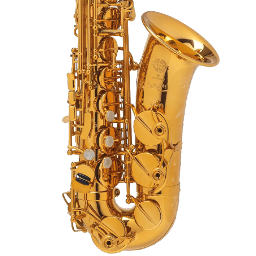 Saxophone Alto Selmer Supreme Goldmessing