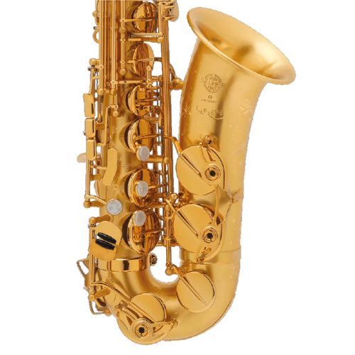 Saxophone Alto Selmer Supreme Mat Grav Cls Goldmessing