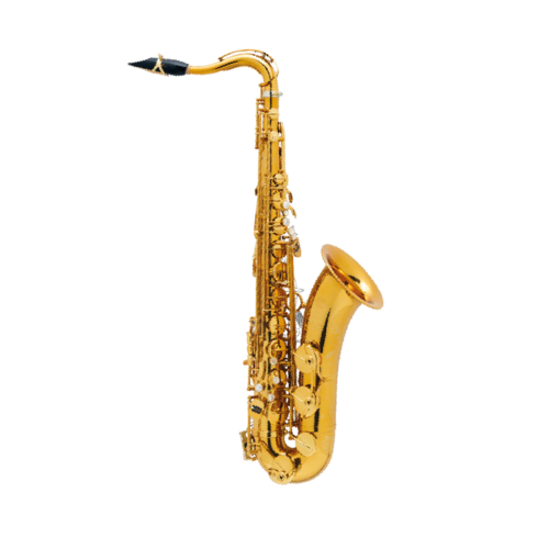 Saxophone Tenor Selmer Supreme verni