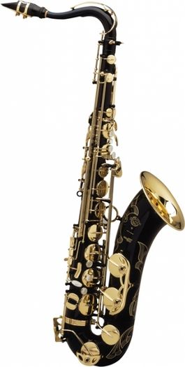 Set Nettoyage Saxophone Alto ou Tenor ou Clarinette Bas Reka - ATELIER  CELIA FRANCE