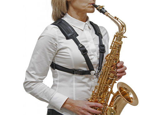 Arnes Saxo BG S-41CM Mujer Gancho Metlico