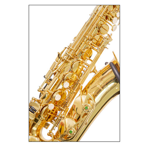 Saxophone Alto Boehm Beginner verni