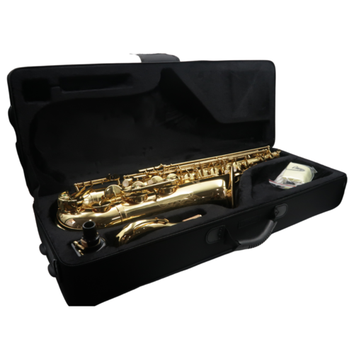 Saxophone Tenor Boehm Beginner verni