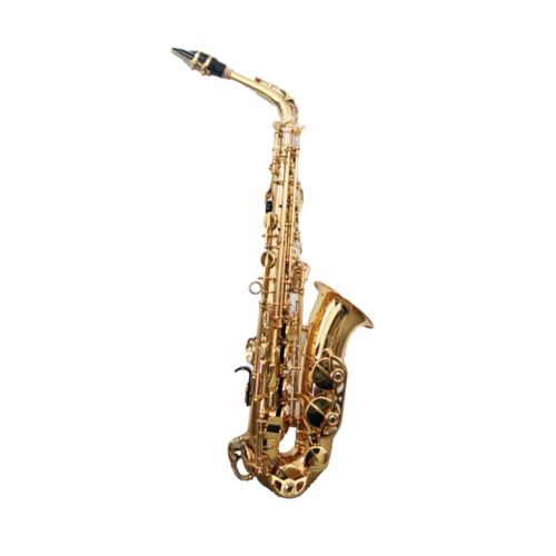 Saxophone Alto Boehm Student verni