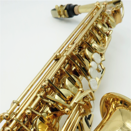 Saxophone Alto Boehm Student verni