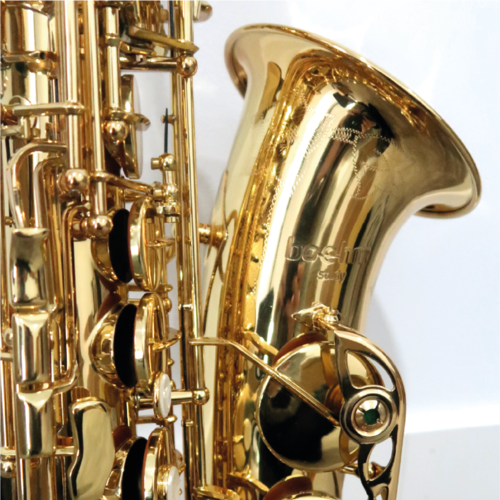 Saxophone Alto Boehm Student verni